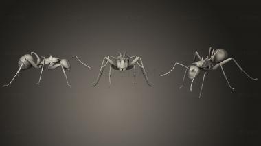 3D model Insect beetles 1411 (STL)